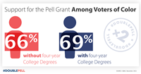 Pell Support among voters of color graphic