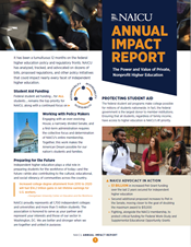 2024 Annual Impact Report art